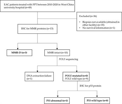 Molecular Classification in Patients With Endometrial Cancer After Fertility-Preserving Treatment: Application of ProMisE Classifier and Combination of Prognostic Evidence